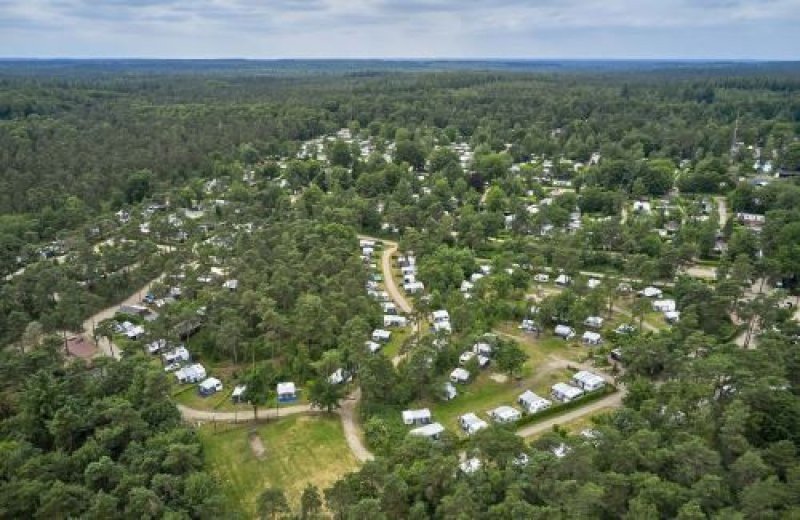 Camping in der veluwe in holland