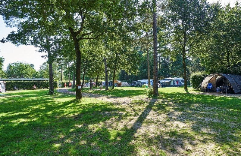 Ein Tag im Ferienpark Het Lierderholt