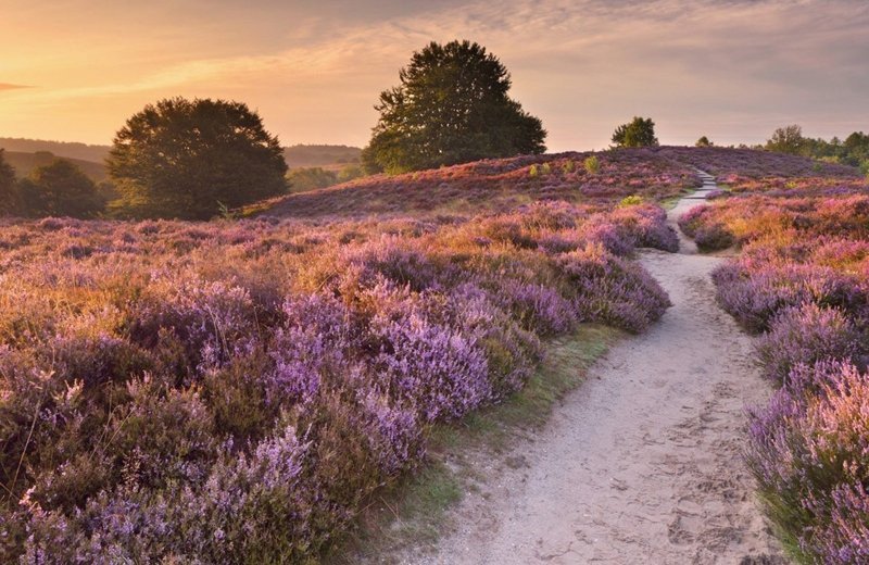 Warum deutsche Reisende Het Lierderholt lieben