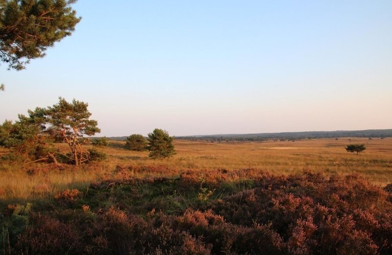 Herbsturlaub hoge veluwe het lierderholt