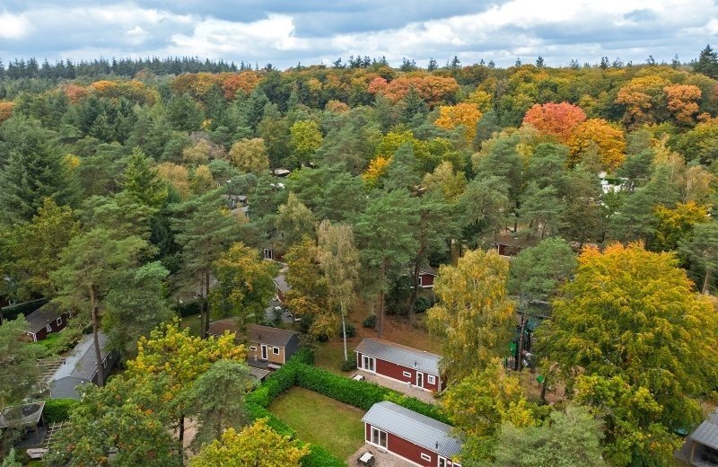 Slow Travel in der Veluwe: Natur bewusst genießen