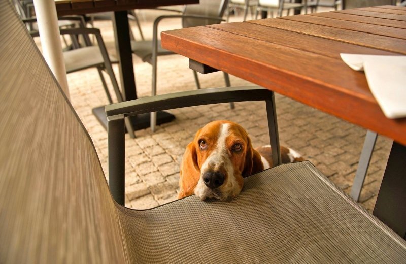 Gemeinsam essen gehen