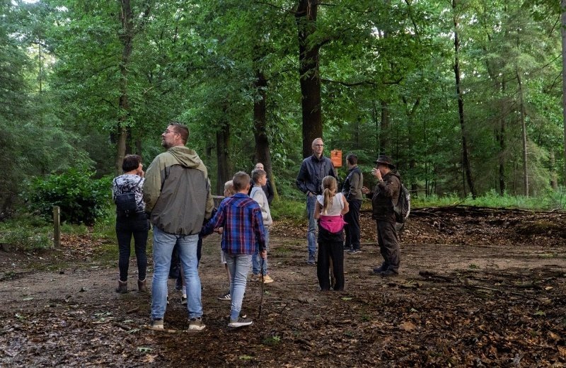 Out and about with the forest ranger