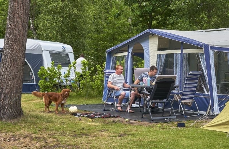 Urlaub mit hund veluwe lierderholt