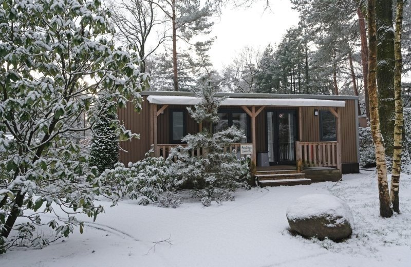 Winterzauber in der Veluwe & gemütliche Weihnachten
